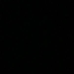 Meet your Posher, Marley